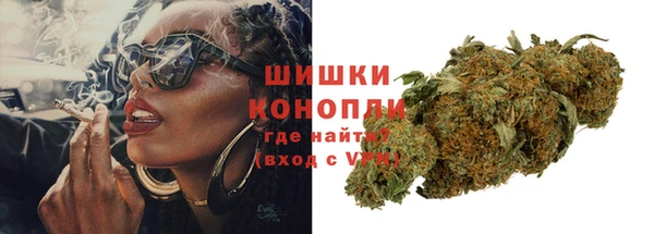 молекула духа Богородицк