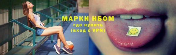 молекула духа Богородицк