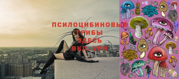 мдпв Белокуриха