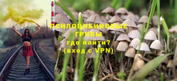 соль ск Богданович