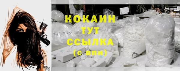 мдпв Белокуриха