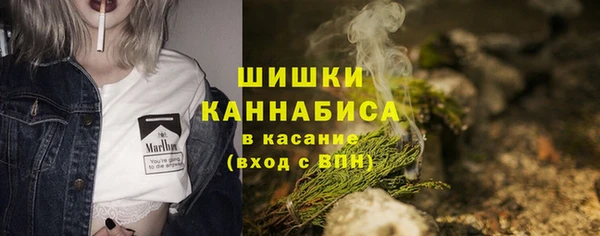 молекула духа Богородицк